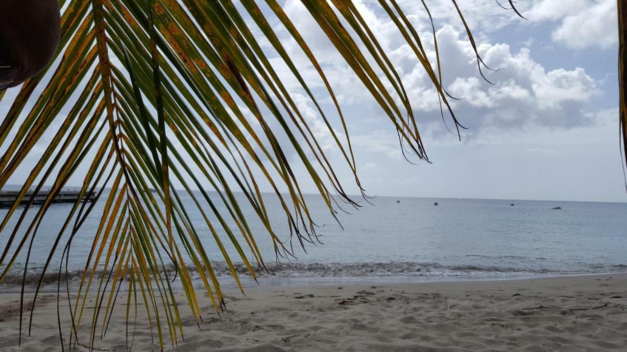 La Yole Des Caraibes Les Anses-d'Arlets Exterior foto